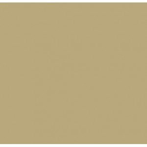 Tecido Tricoline Silky Lisa cor - 6462 (Bege)